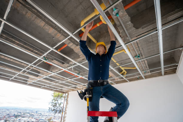 Best Plumbing Services Near Me  in Herculaneum, MO