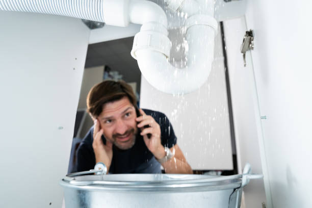 Best Water Softener Installation  in Herculaneum, MO