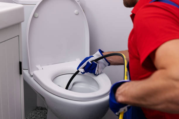Best Affordable Plumbing Services  in Herculaneum, MO