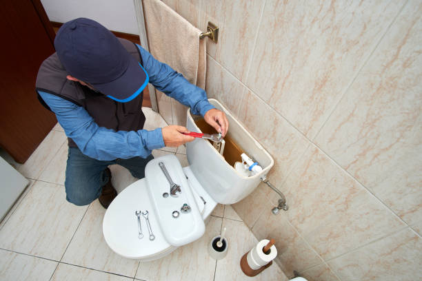 Best Plumbing Repair Near Me  in Herculaneum, MO