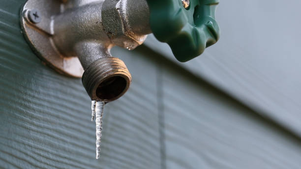 Best Emergency Plumbing Repair  in Herculaneum, MO