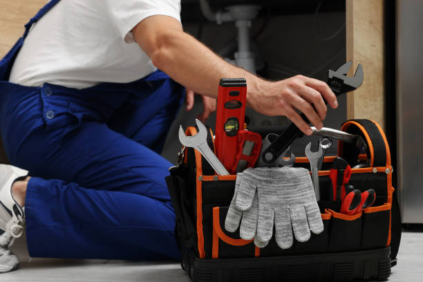 Best Clogged Drain Plumber  in Herculaneum, MO
