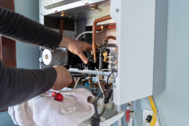 Best Faucet Repair  in Herculaneum, MO